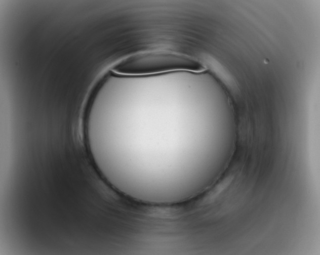 X0000092070932200709262043