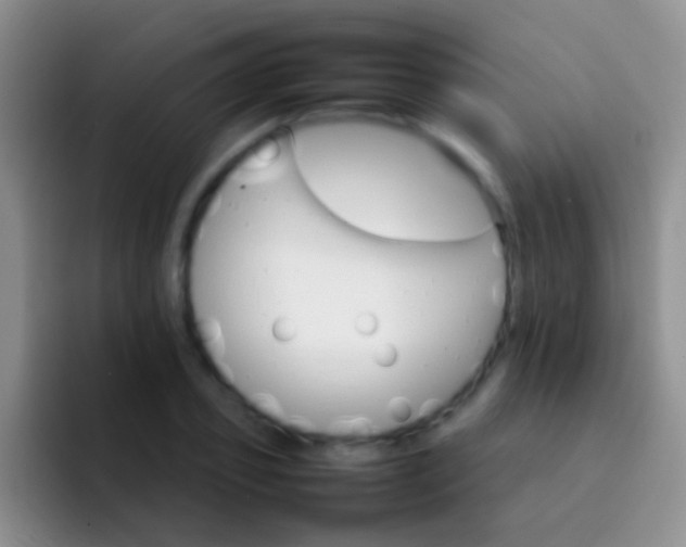 X0000092070933200709262043