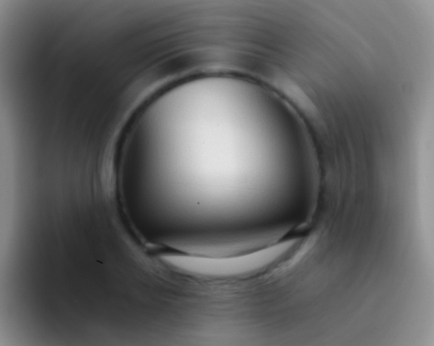 X0000092070934200709262043