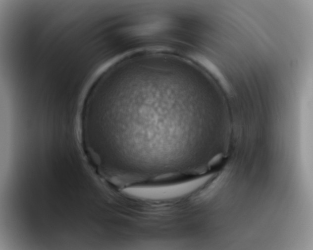 X0000092070935200709262043