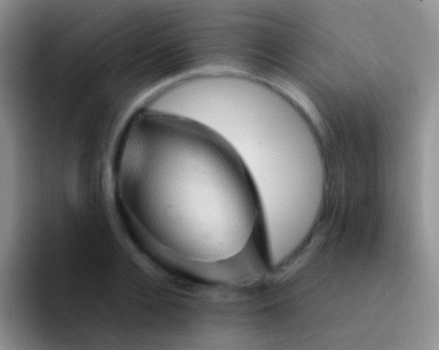 X0000092070936200709262043
