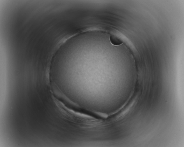 X0000092070937200709262043