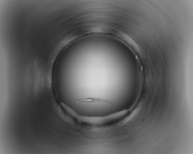 X0000092070938200709262043