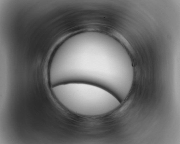 X0000092070939200709262043