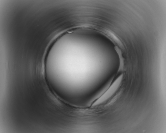 X0000092070940200709262043
