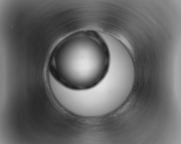 X0000092070944200709262043