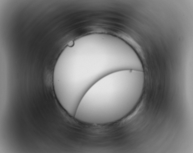 X0000092070945200709262043