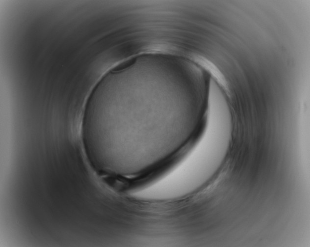 X0000092070946200709262043