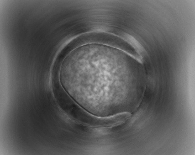 X0000092070948200709262043