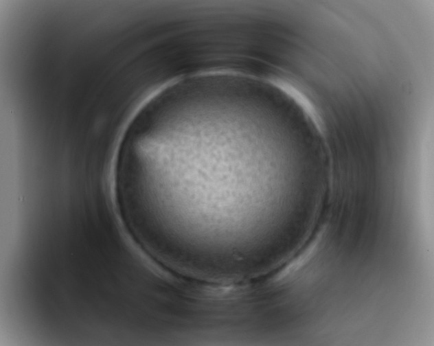 X0000092070949200709262043