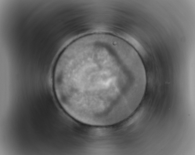 X0000092070950200709262043