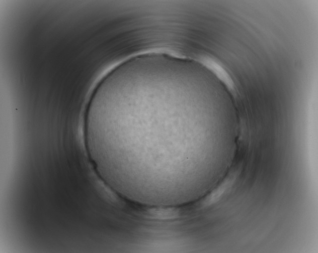 X0000092070952200709262043