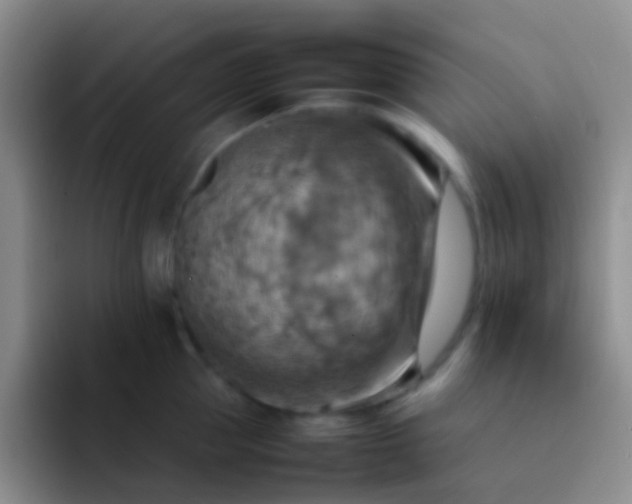 X0000092070953200709262043