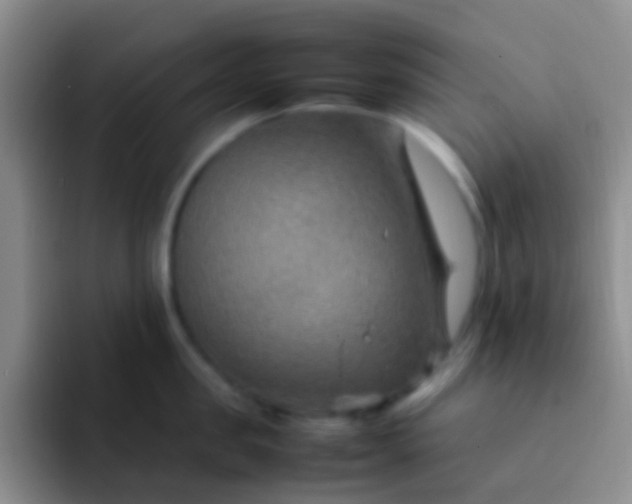 X0000092070957200709262043