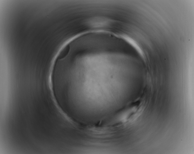 X0000092070959200709262043