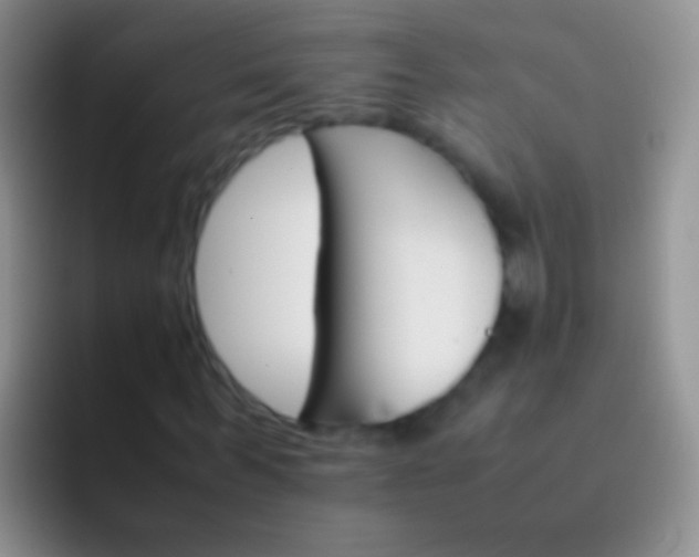 X0000092070963200709262043