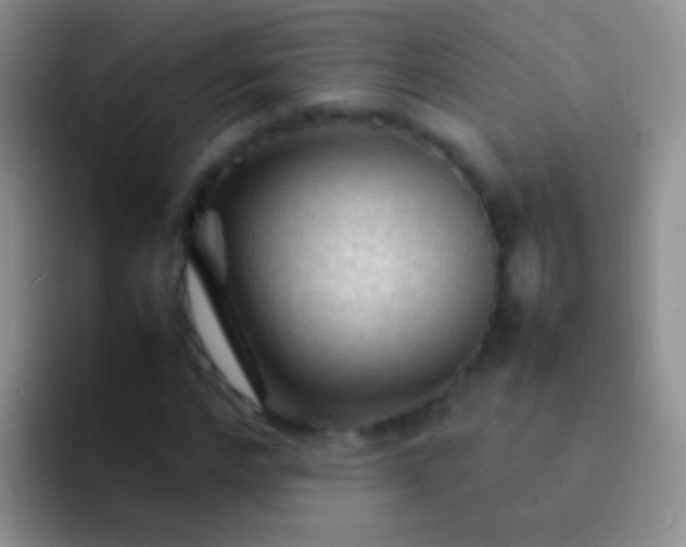 X0000092070968200709262043