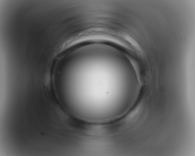 X0000092070969200709262043