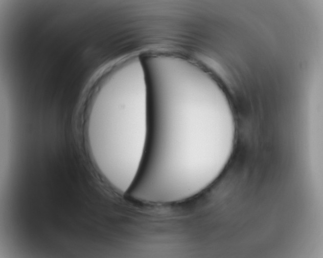 X0000092070971200709262043