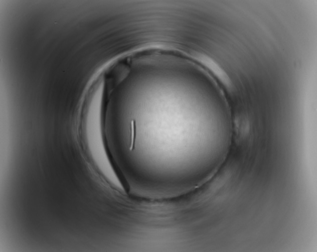 X0000092070972200709262043