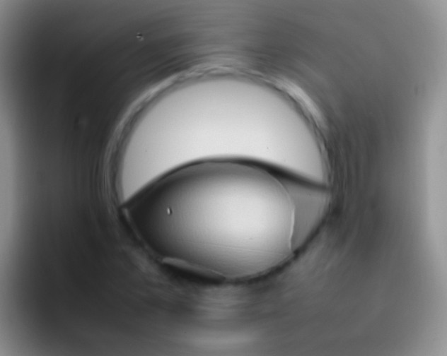 X0000092070973200709262043