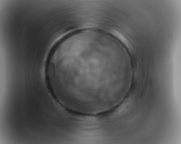 X0000092070975200709262043