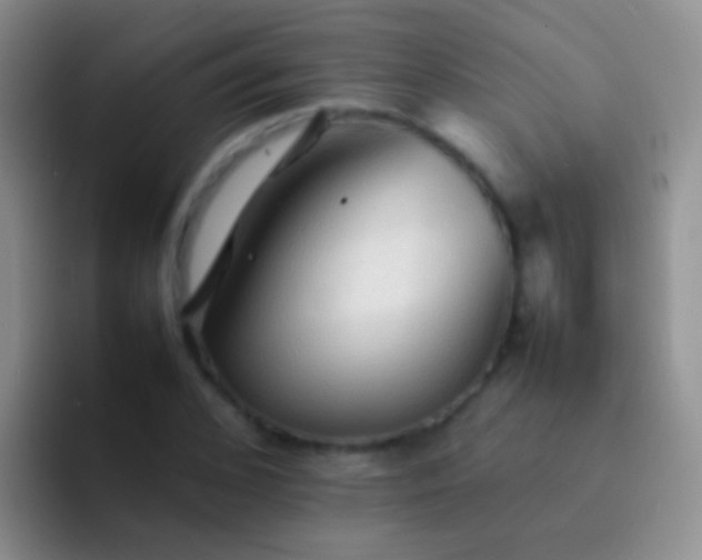 X0000092070976200709262043