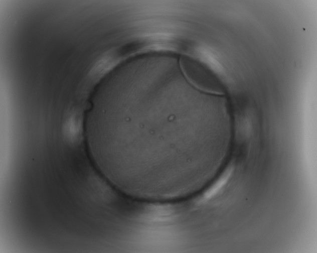 X0000092070977200709262043