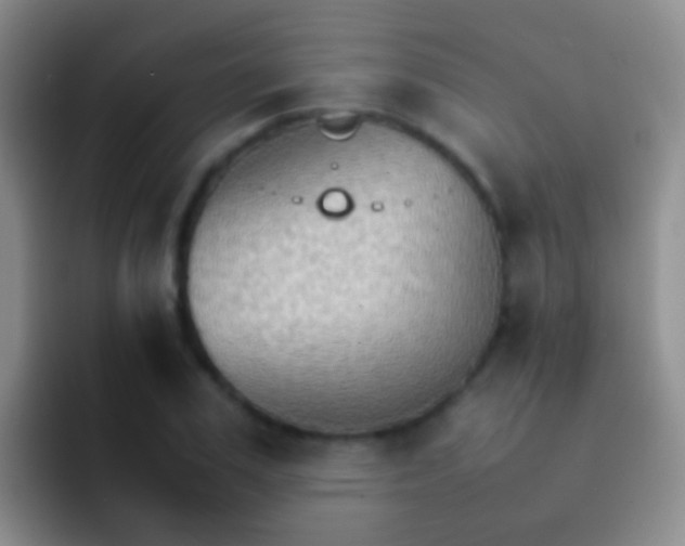 X0000092070979200709262043