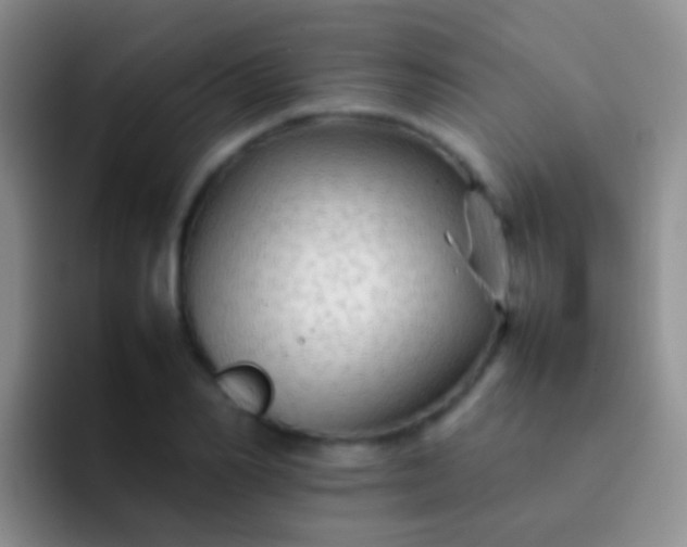 X0000092070982200709262043