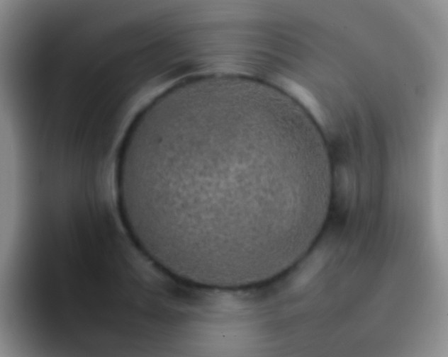 X0000092070987200709262043