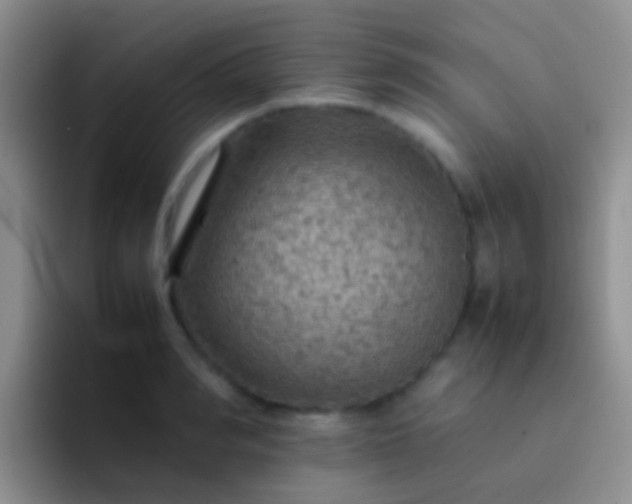 X0000092070990200709262042