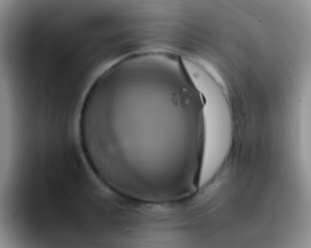 X0000092070995200709262042