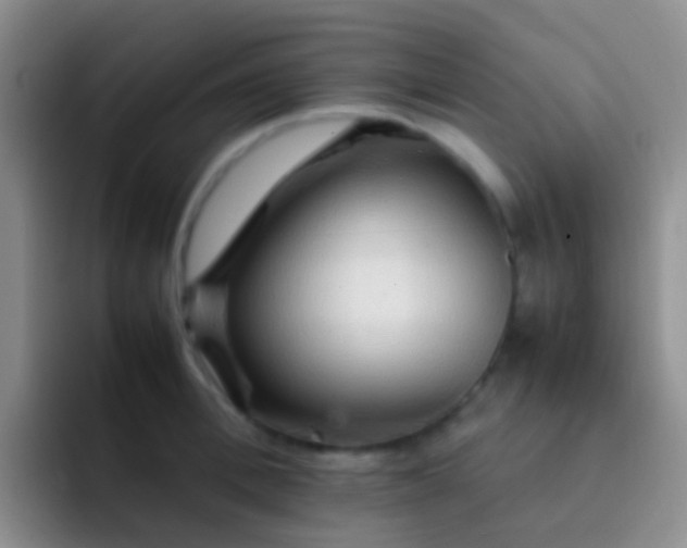 X0000092070996200709262042