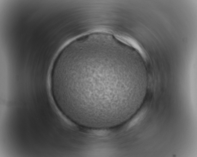 X0000092070999200709262042