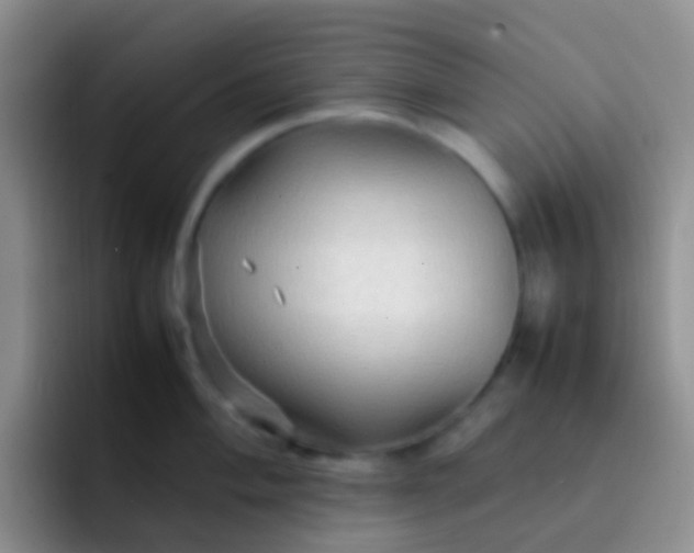 X0000092071004200709262042