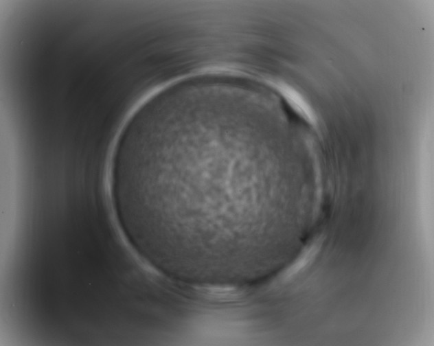 X0000092071007200709262042