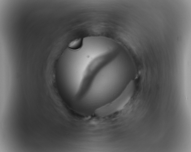 X0000092071009200709262042