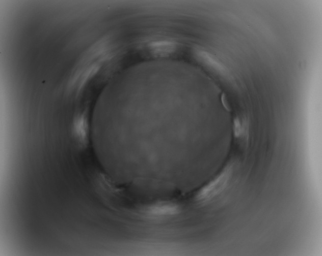 X0000092071011200709262042