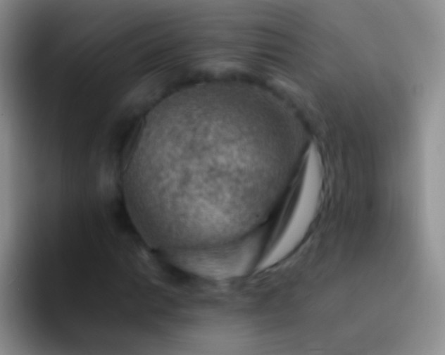X0000092071014200709262042