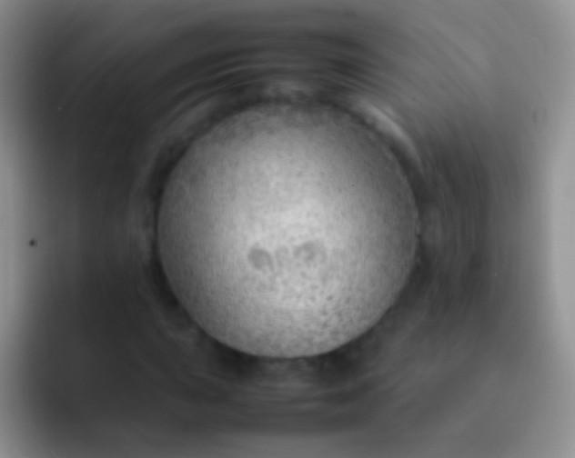 X0000092071015200709262042