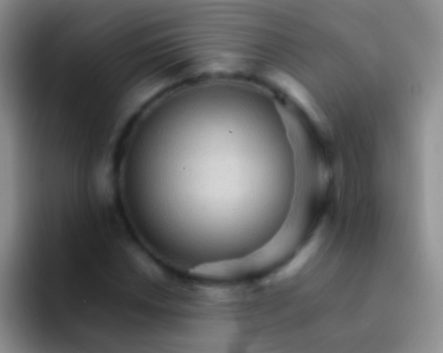 X0000092071018200709262042