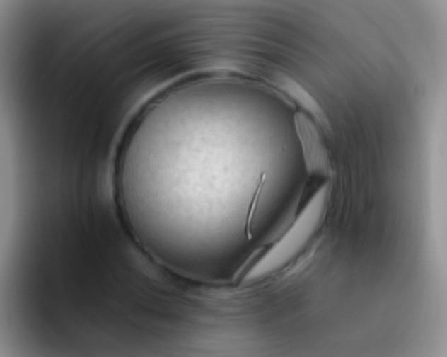 X0000092071020200709262042