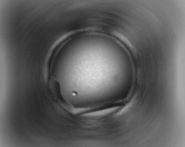 X0000092071021200709262042