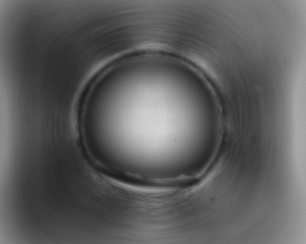 X0000092071022200709262042