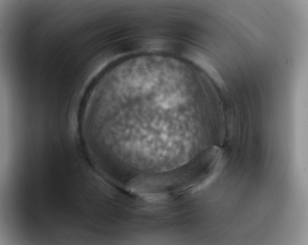 X0000092071023200709262042