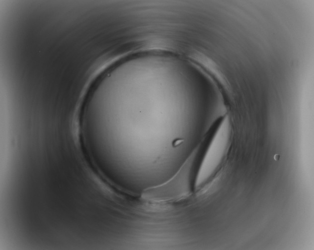 X0000092071024200709262042