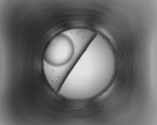 X0000092071025200709262042