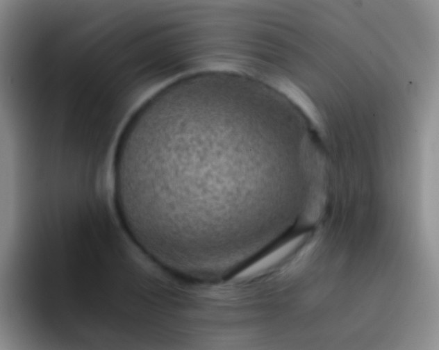 X0000092071028200709262042