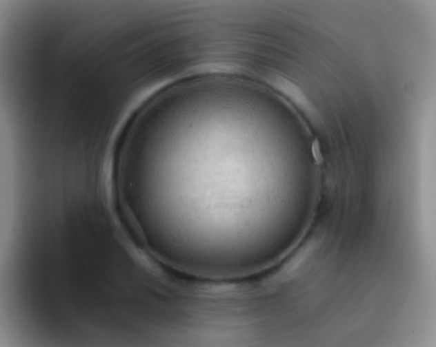 X0000092071030200709262042